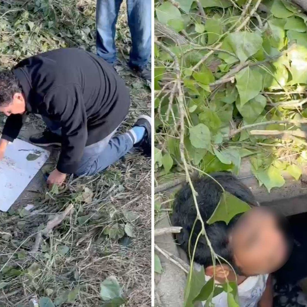 Rescatan a Joven que Vivió Durante Dos Años en un Registro de la CFE sobre Autopista en Puebla