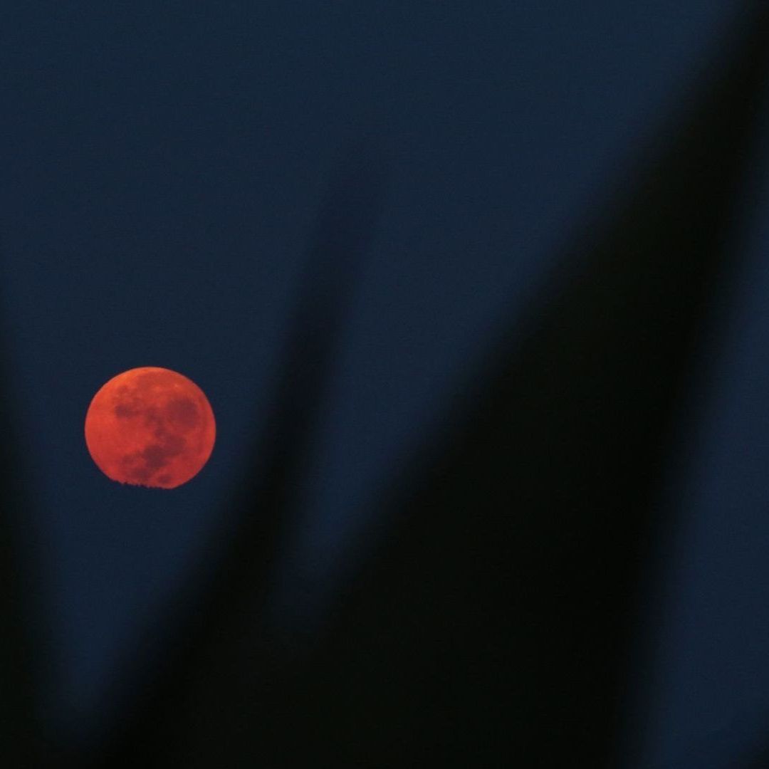 Conoce qué día se verá la Luna de Sangre 2025 en México y la explicación científica sobre por qué es roja