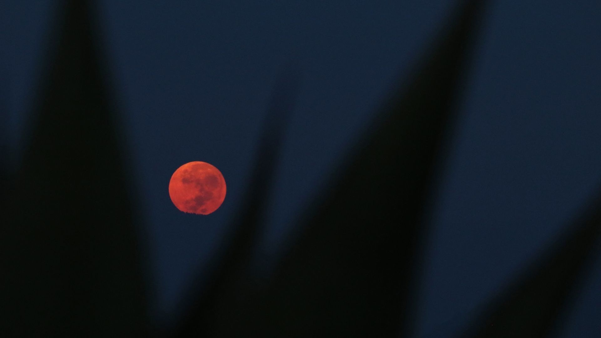 Luna de Sangre 2025: ¿Qué Es y Cuándo Será Visible en México? Explicación sobre Por Qué Es Roja