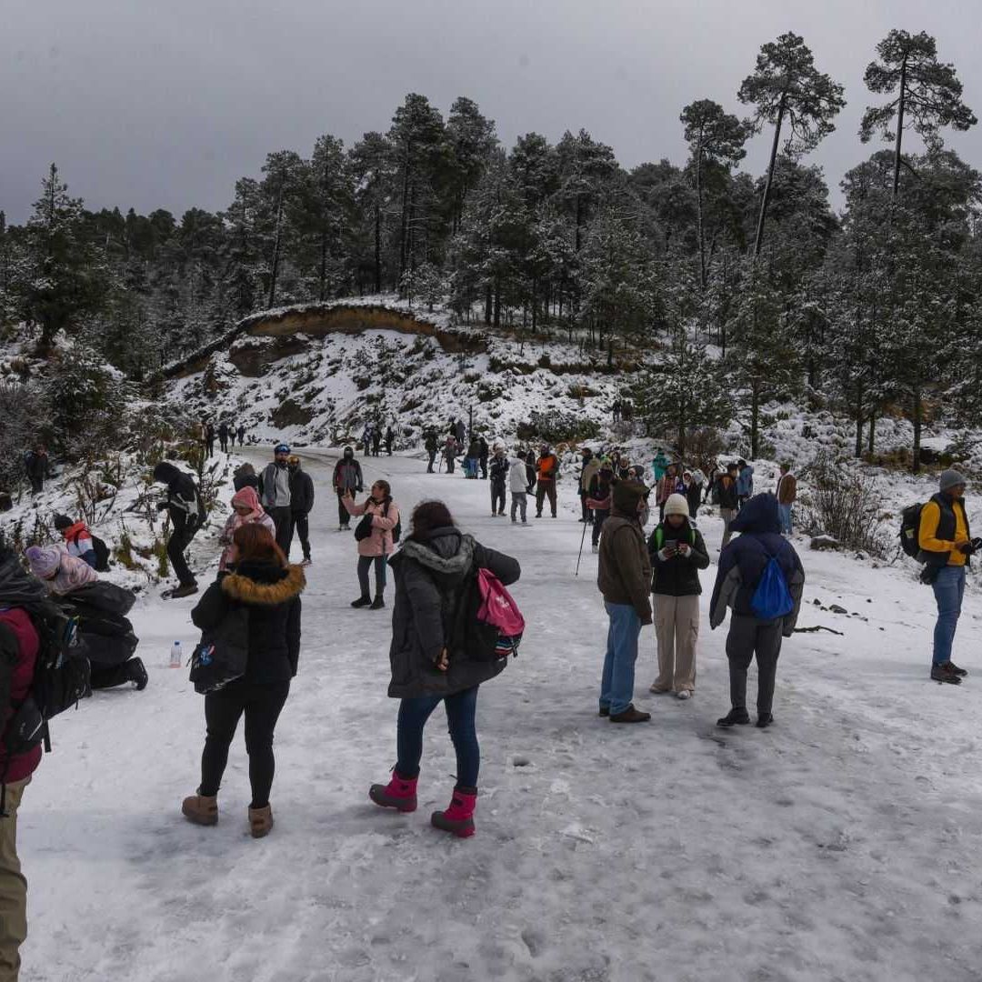 El frío sigue afectando la mayoría de estados de México y aquí te decimos cómo consultar a cuántos grados están en tu municipio hoy