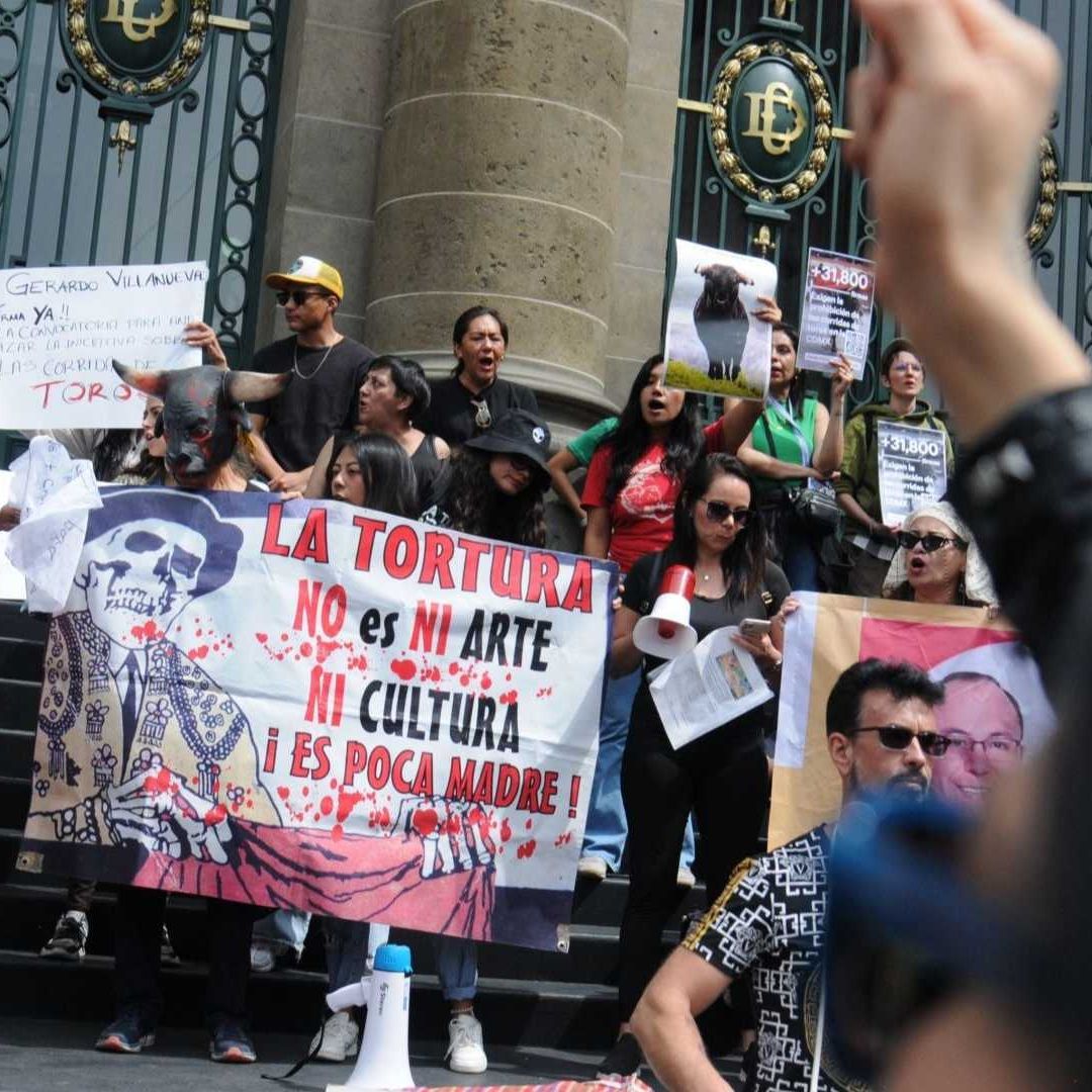 Los manifestantes marcharon desde la plaza del Zócalo, donde está el Palacio Nacional, hasta el Congreso local con una manta con la leyenda 'No a las corridas de toros, no a la tortura'