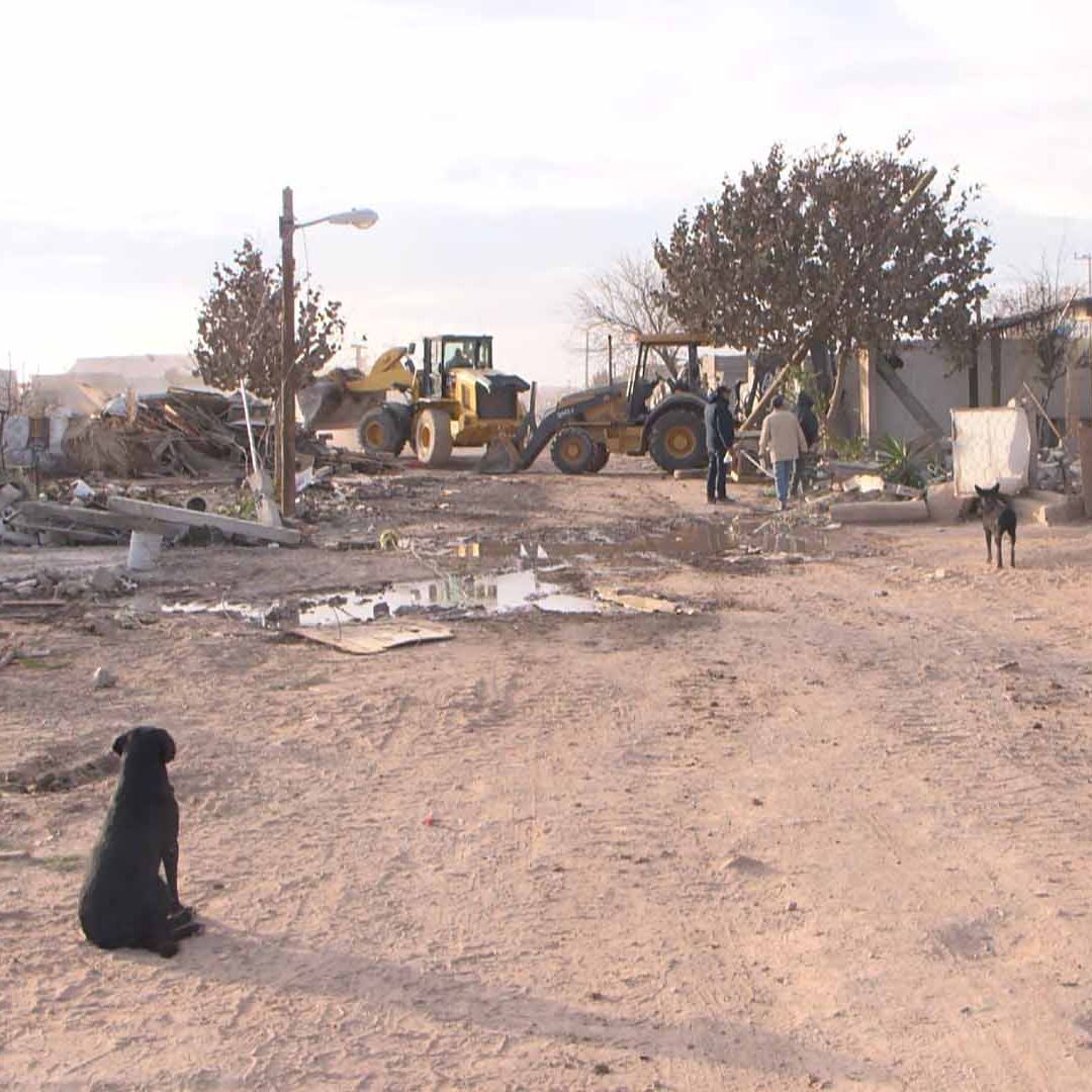 Familias Abandonan a Mascotas por Desalojo y Derrumbe de sus Casas en Torreón