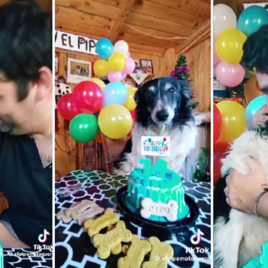 Video | ¡Qué lindo! Dueño le Manda Emotivo Mensaje a su Mejor Amigo, Un Perrito