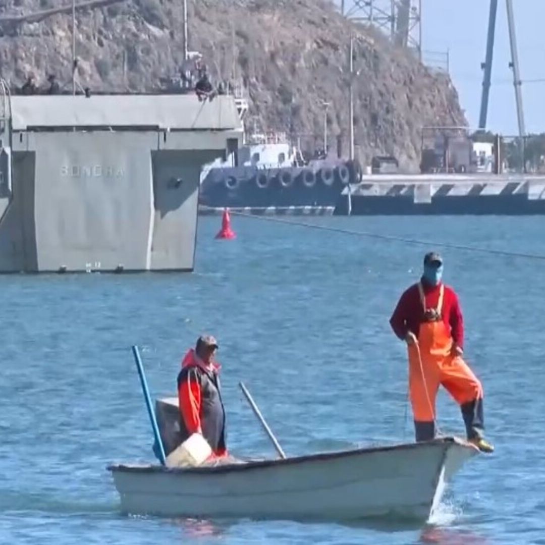 Confirman Presencia de Tiburones en Puerto de Yavaros en Huatabampo, Sonora