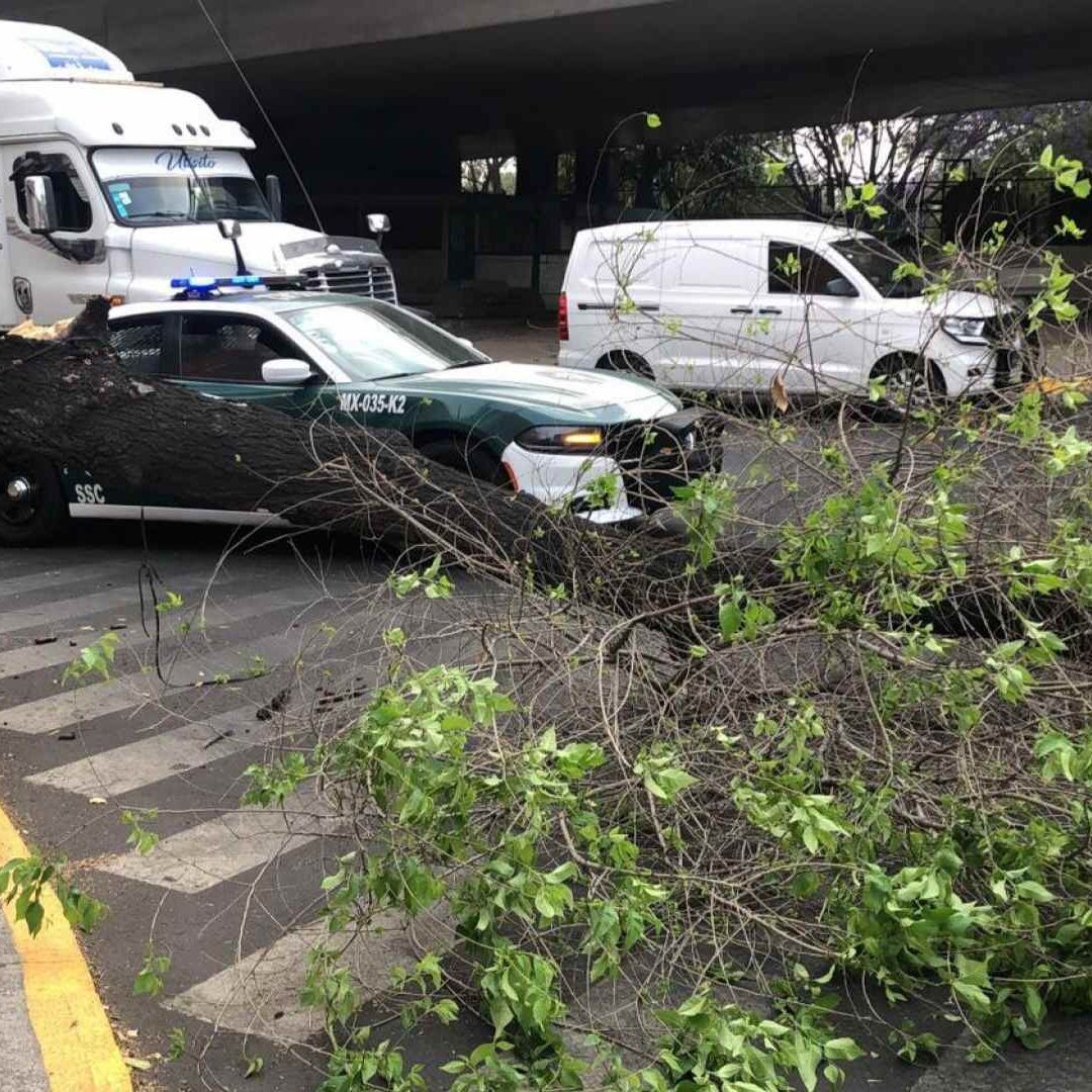 Alerta Amarilla por Fuertes Vientos en las Dieciséis Alcaldías de la CDMX