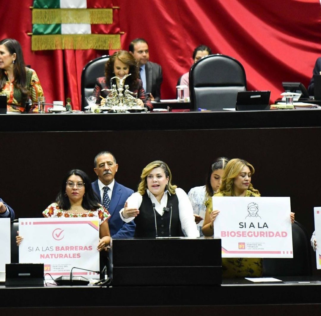 Cámara de Diputados Aprueba en lo General Reforma que Prohíbe la Siembra de Maíz Transgénico.