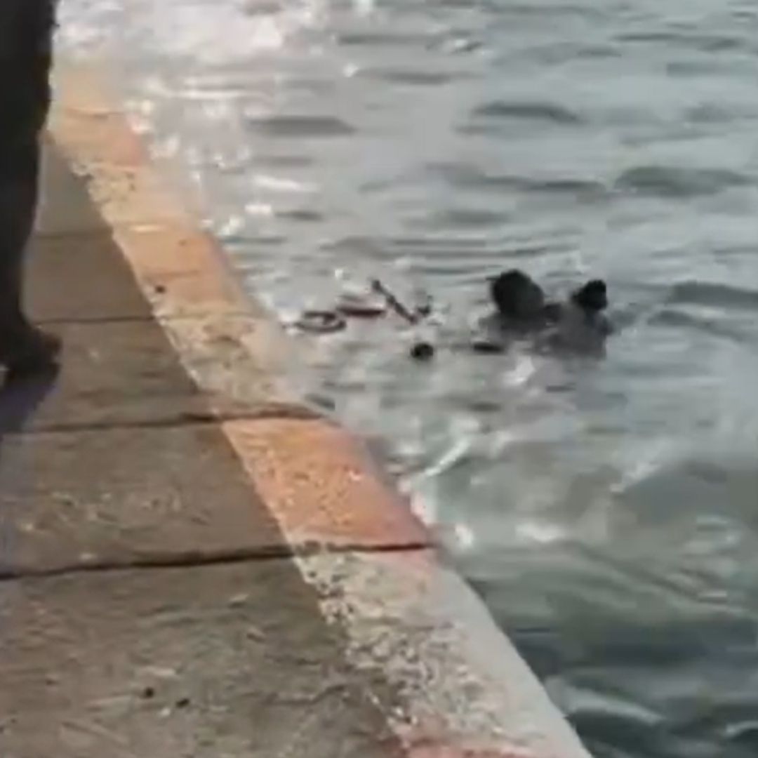 Rescatan a menor en el malecón