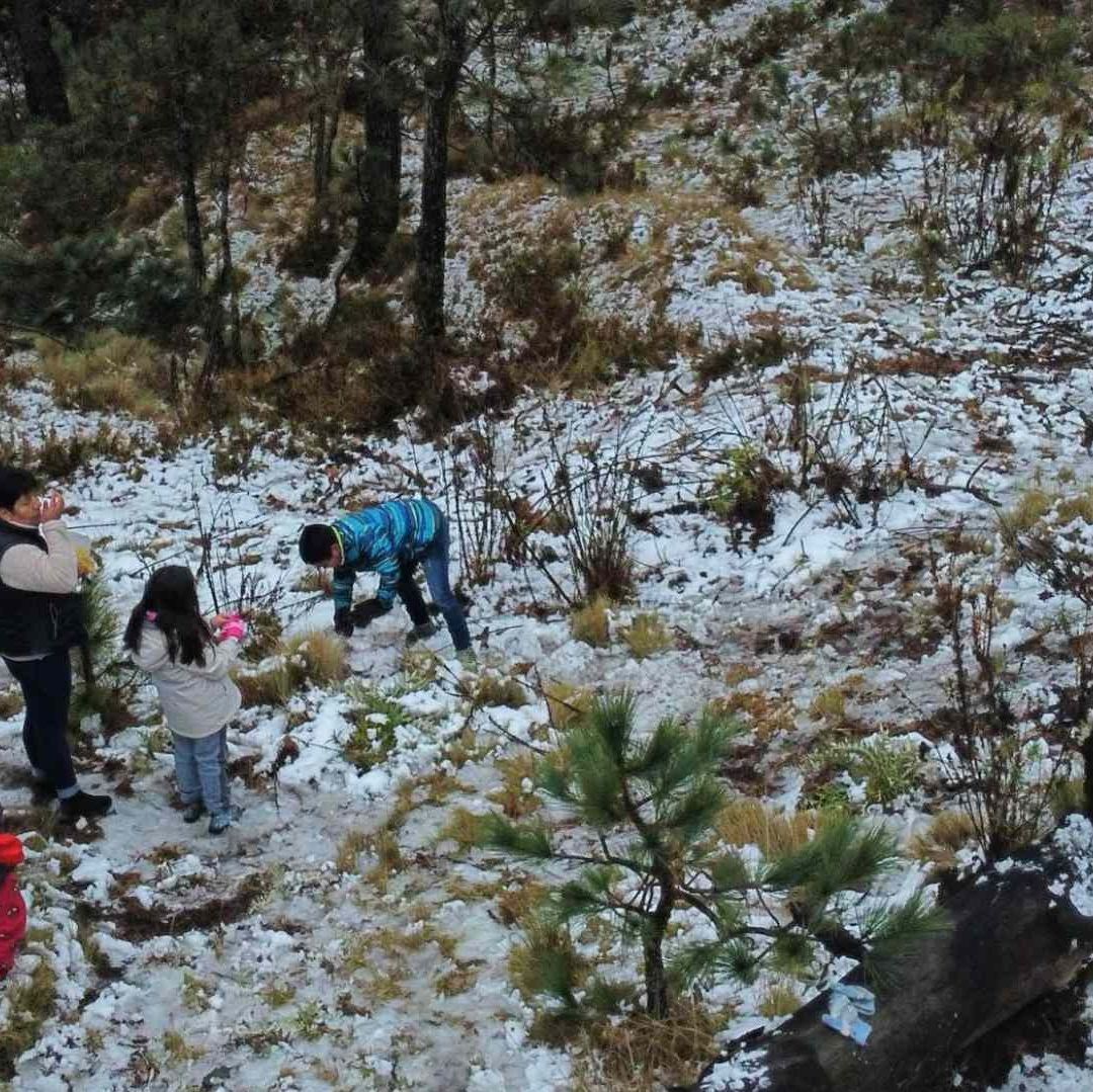 Cae nieve en el ajusco este sábado 17 de febrero de 2024