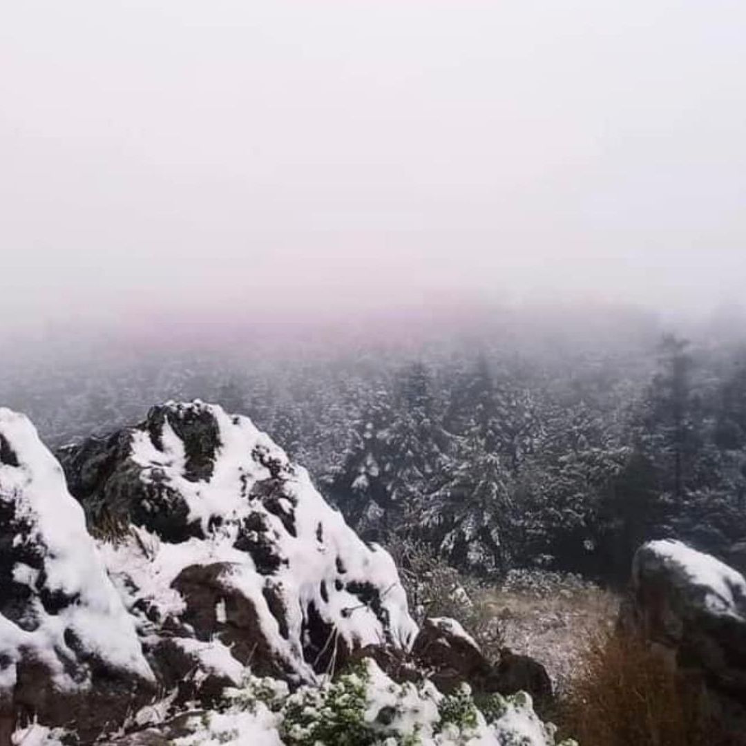 Así se ve en imágenes la caída de nieve en el Ajusco, La Marquesa y el Nevado de Toluca hoy 17 de febrero 2024
