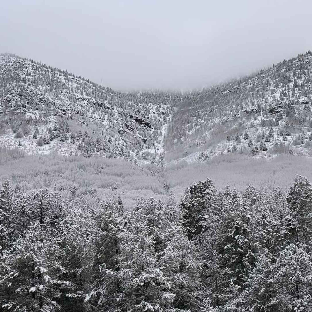 Frente Frío 35 Provoca Nevadas en Coahuila