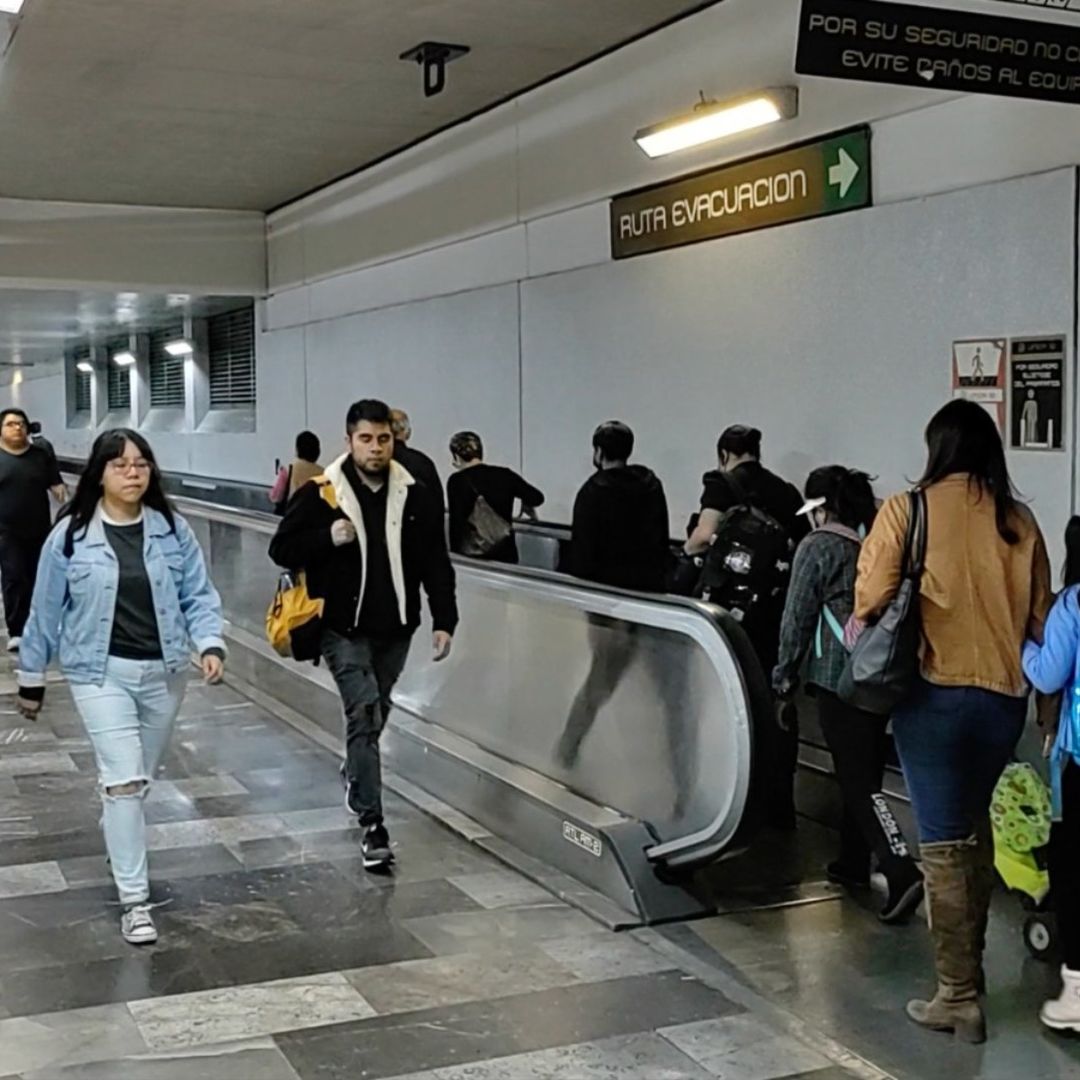 Servicio en Línea 12 del Metro CDMX, Afectado por Rescate de Perritos