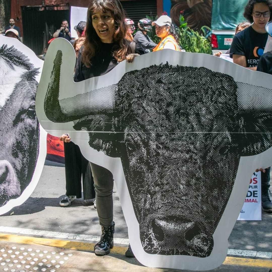 Este fallo deberá ser notificado electrónicamente a la parte quejosa.