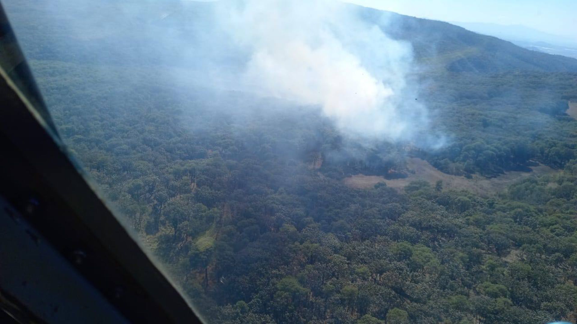 Se Registra Incendio Forestal en Predio de el Bosque La Primavera