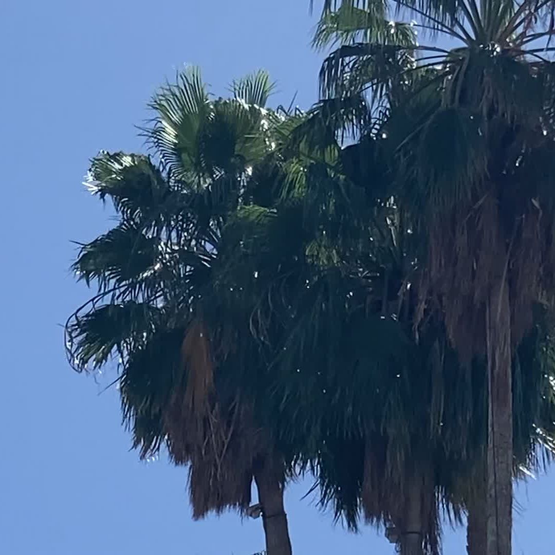 ¿Cuándo Llegará el Frente Frío No. 29 a Sonora? Traerá Fuertes Vientos