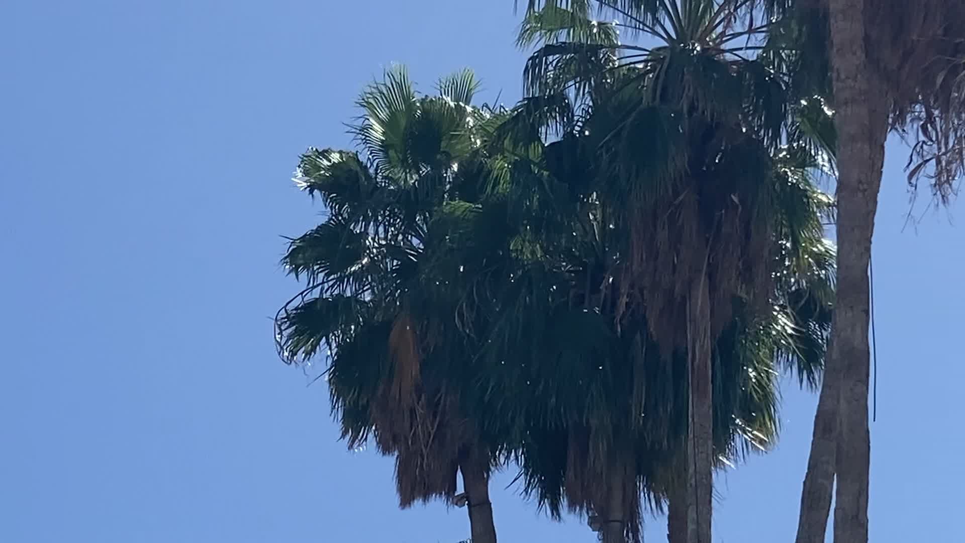 ¿Cuándo Llegará el Frente Frío No. 29 a Sonora? Traerá Fuertes Vientos