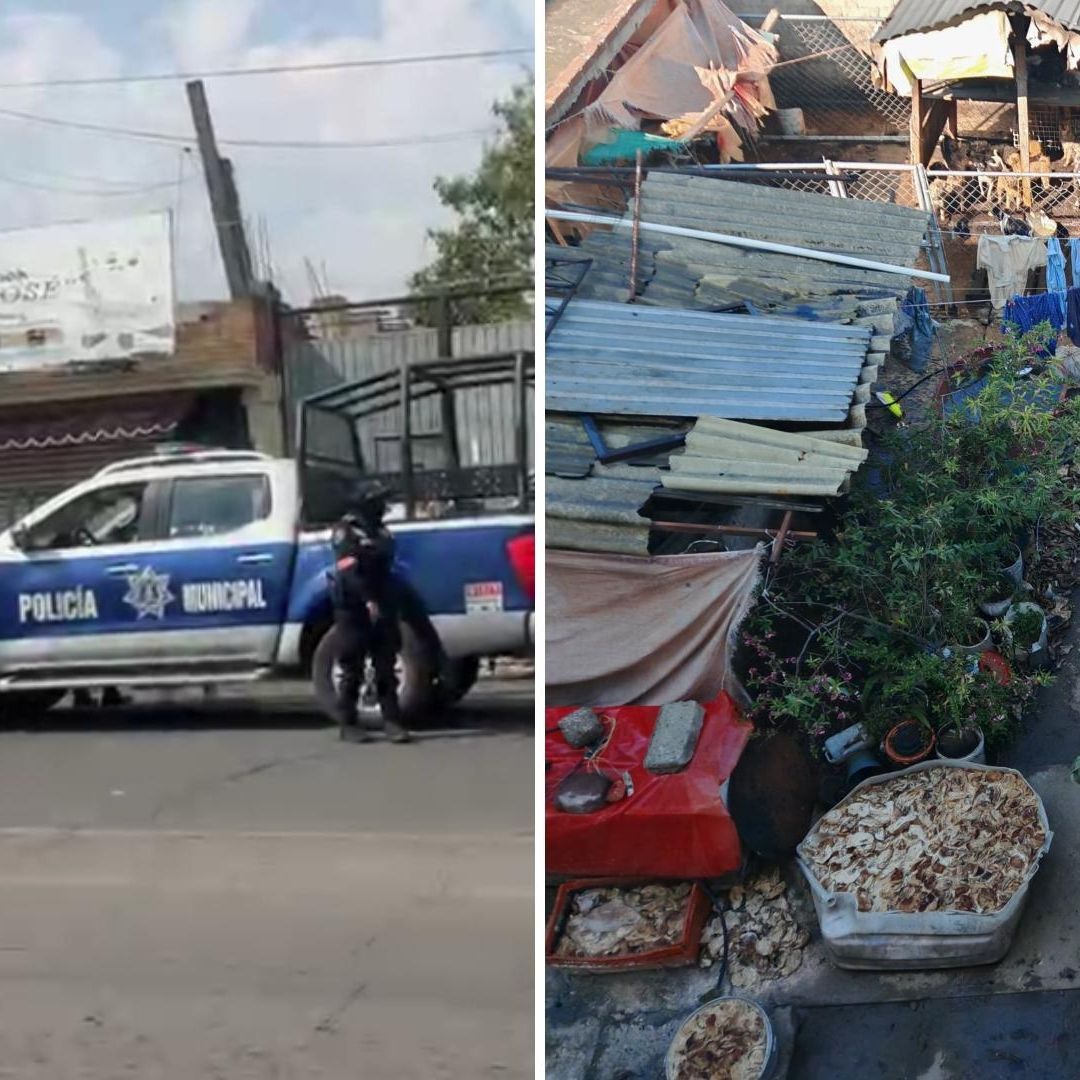 Catean Casa por Venta de Carne de Perro en Mexicaltzingo, Edomex