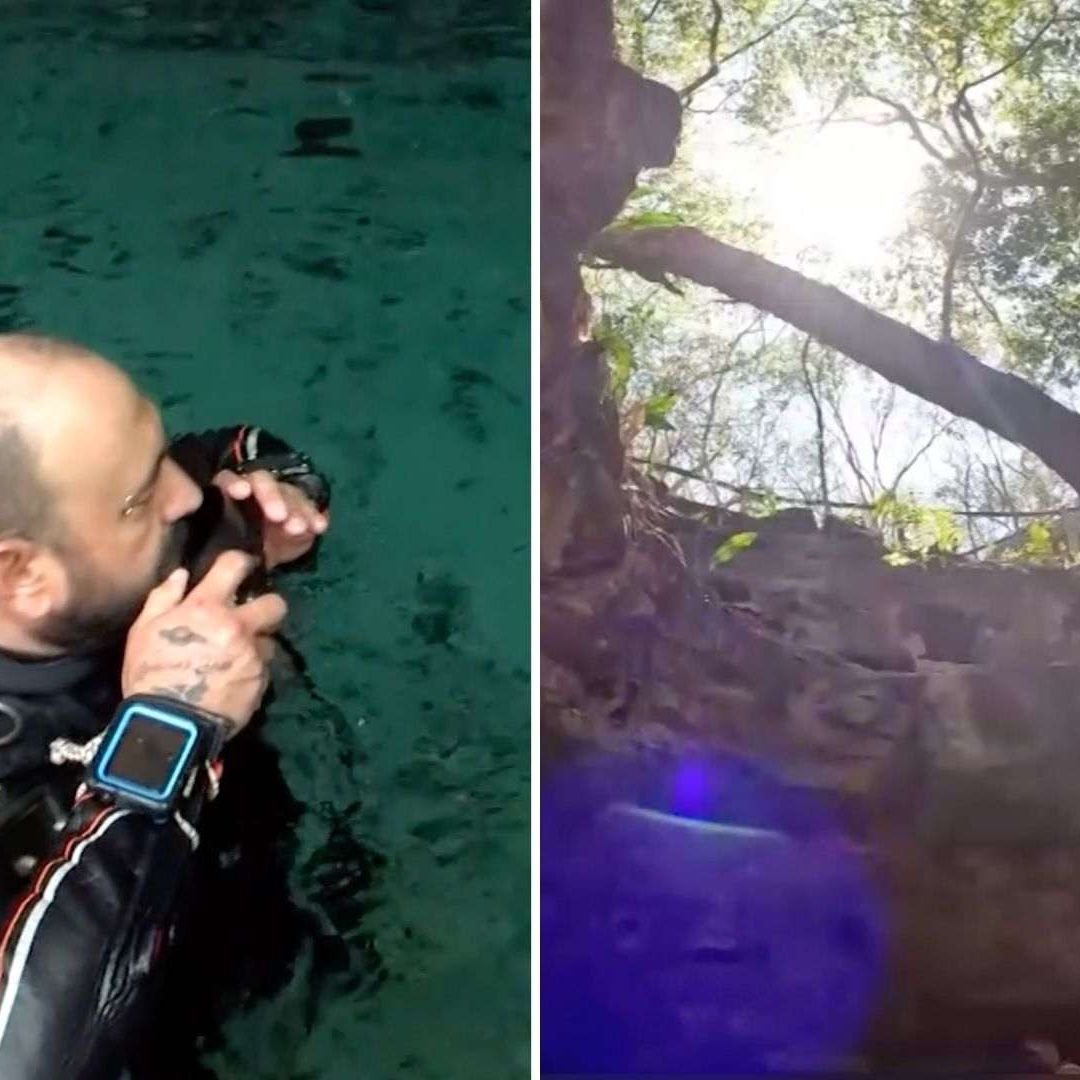 ¡Hallazgo Histórico! Encuentran Restos de Animales Prehistóricos en Cenote de Yucatán