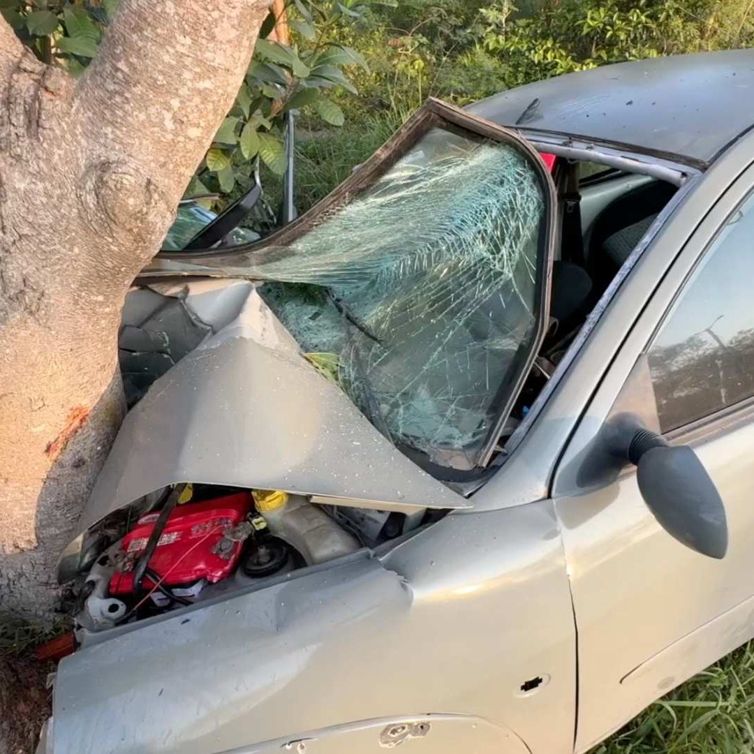 Auto choca contra árbol y se le deprende el parabrisas