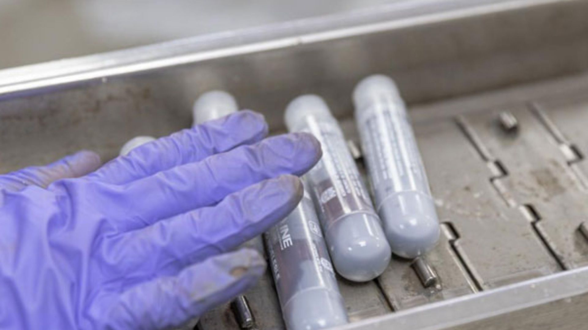 Se producirán cerca de 350 mil aplicadores tipo plumón para entintar el pulgar de 98 millones de personas. El líquido indeleble contiene candados especiales de seguridad