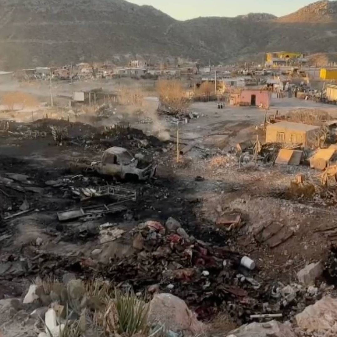 Incendio en Granja de Cerdos Deja Más de 100 Animales Muertos en Ciudad Juárez