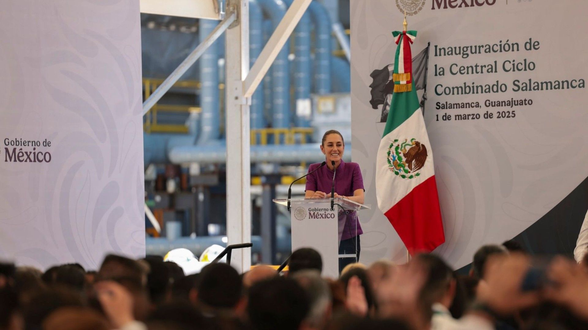 La presidenta destacó su amplia trayectoria en el sector energético.