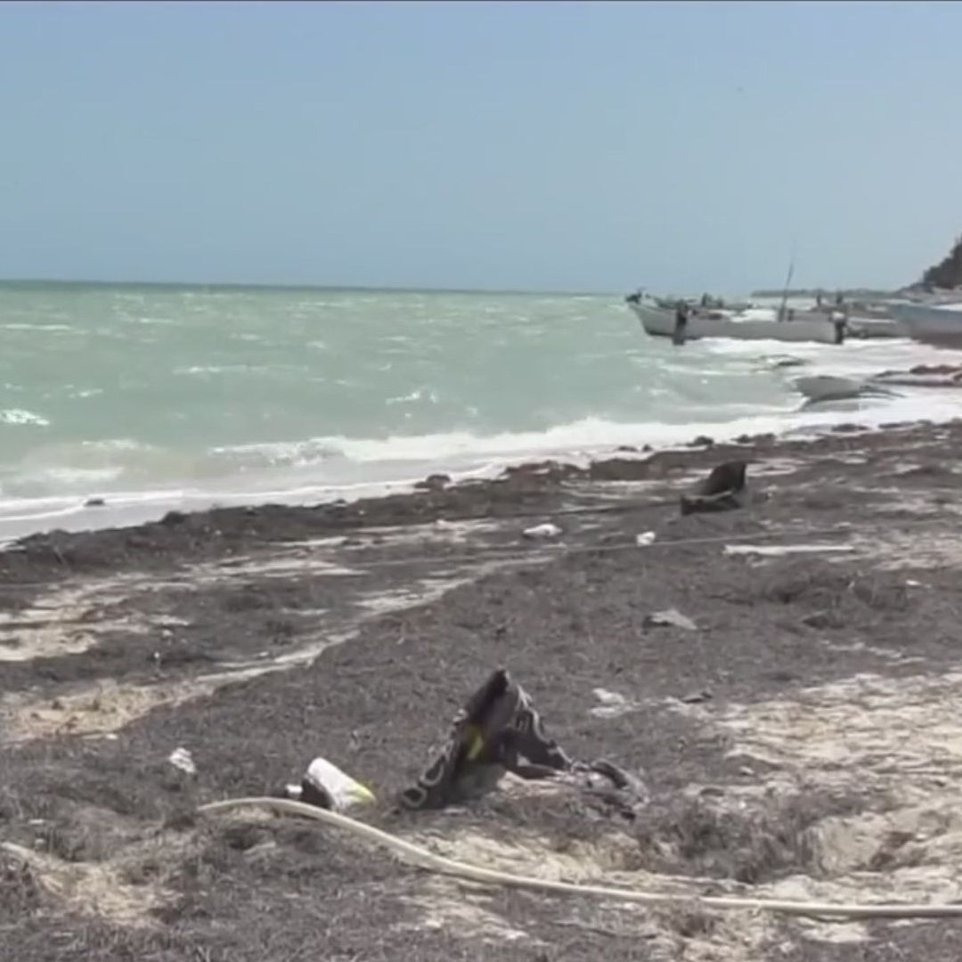 Tercera Ola de Sargazo Llega a la Costa de Yucatán