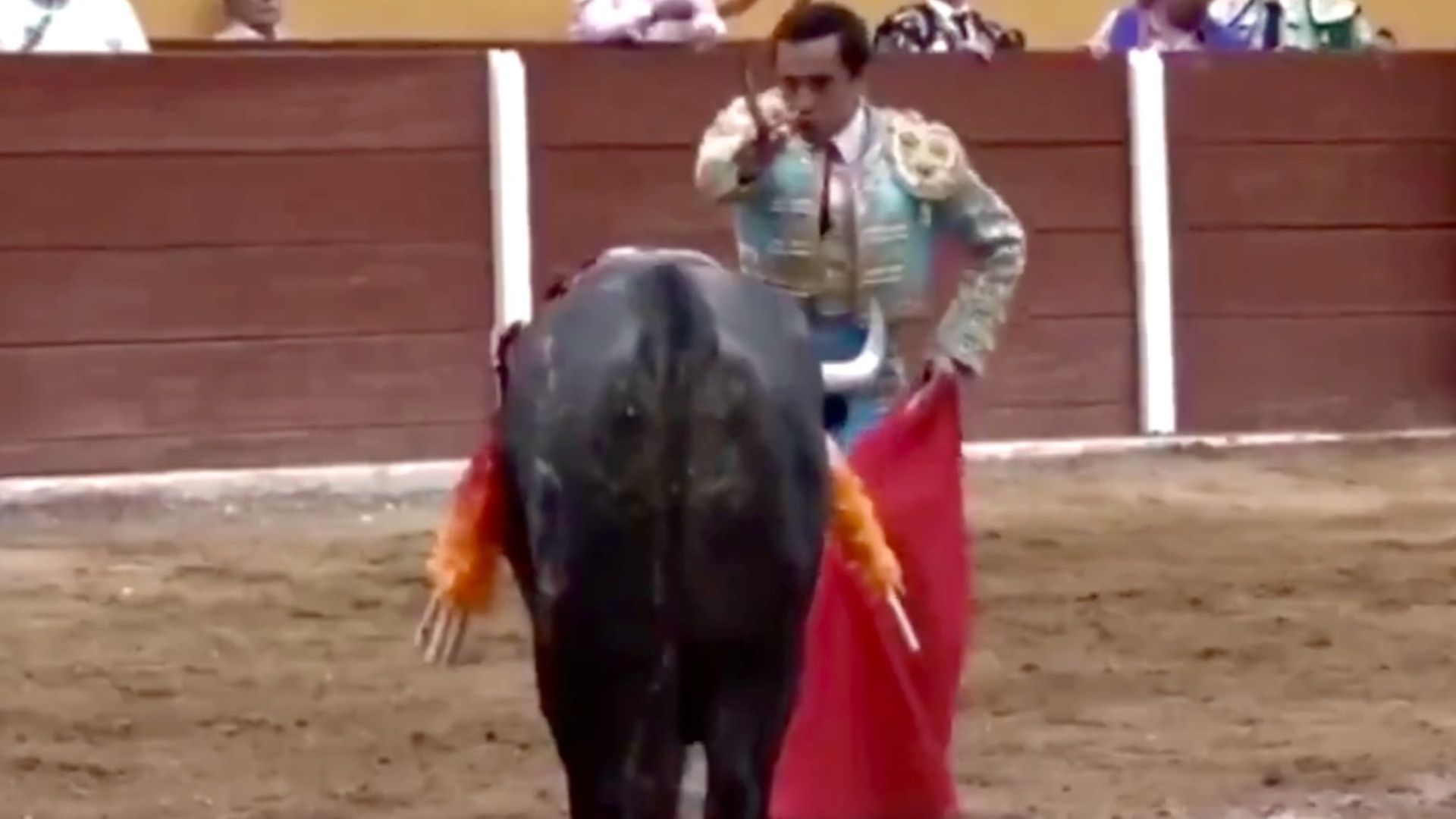 Video | Torero Mexicano Emilio Macías Sufre Grave Cornada en Tlaxcala