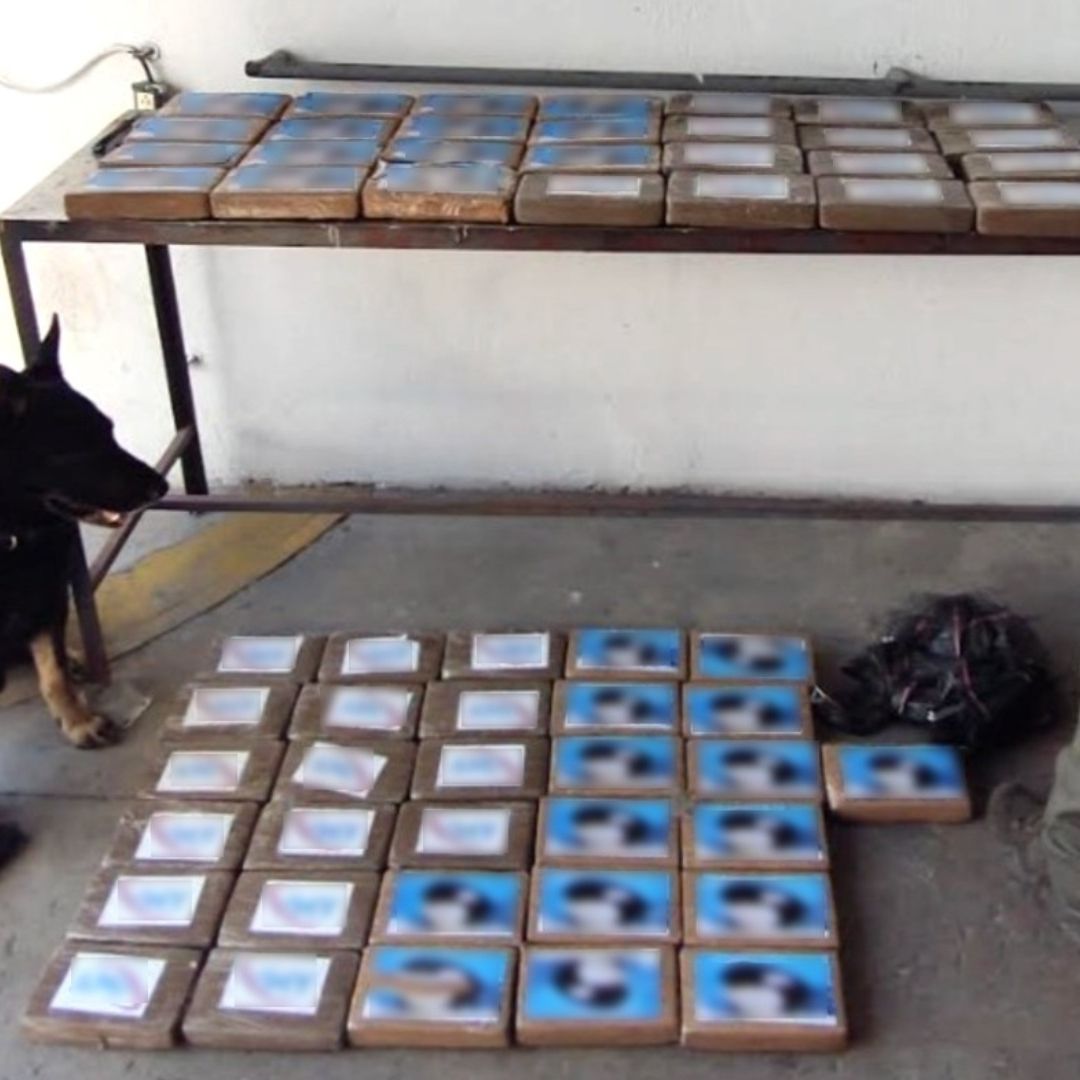 Cocaína decomisada en Zapopan