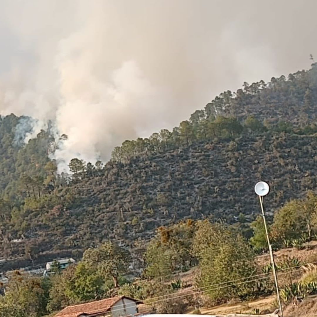 Incendio Forestal Afecta Sierra Norte de Puebla