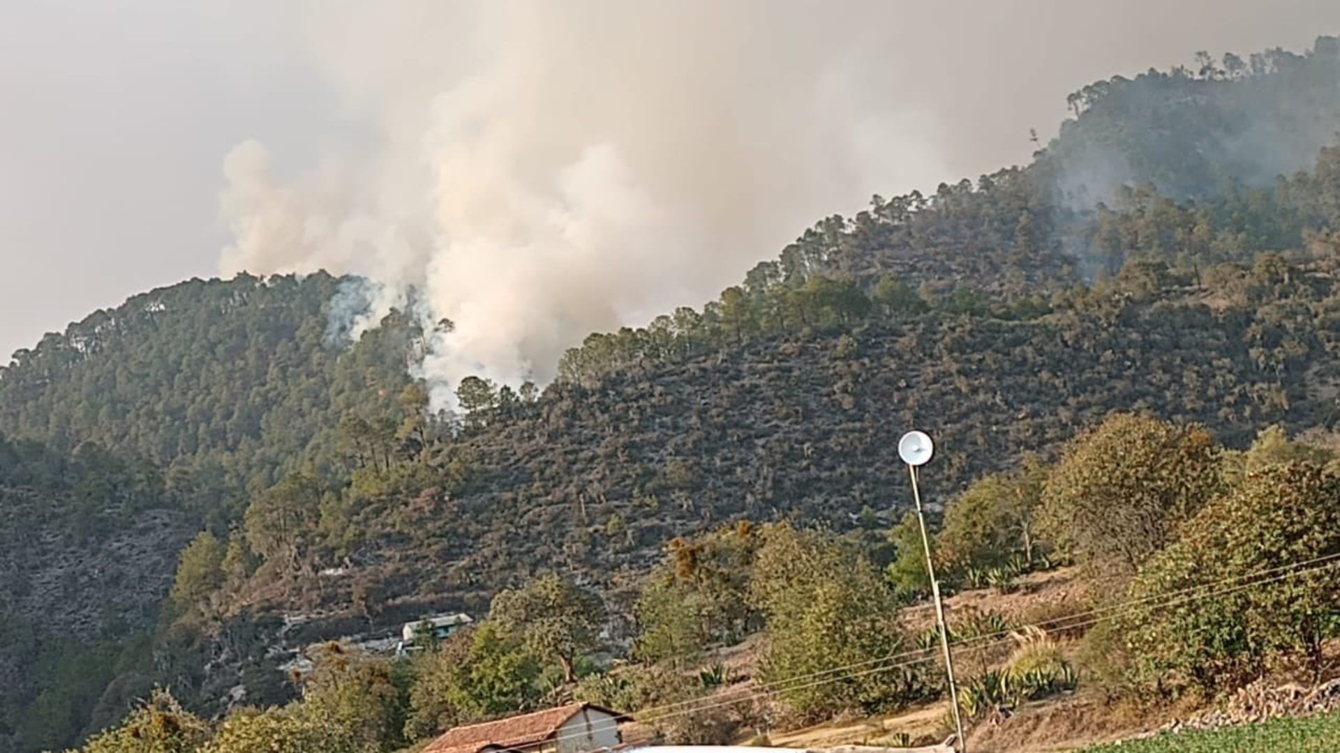 Incendio Forestal Afecta Sierra Norte de Puebla