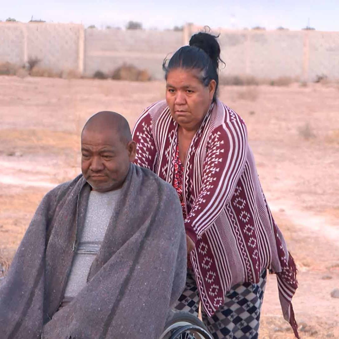 Pareja de Adultos Mayores Sobrevive en el Monte tras ser Desalojados de Casa en La Laguna