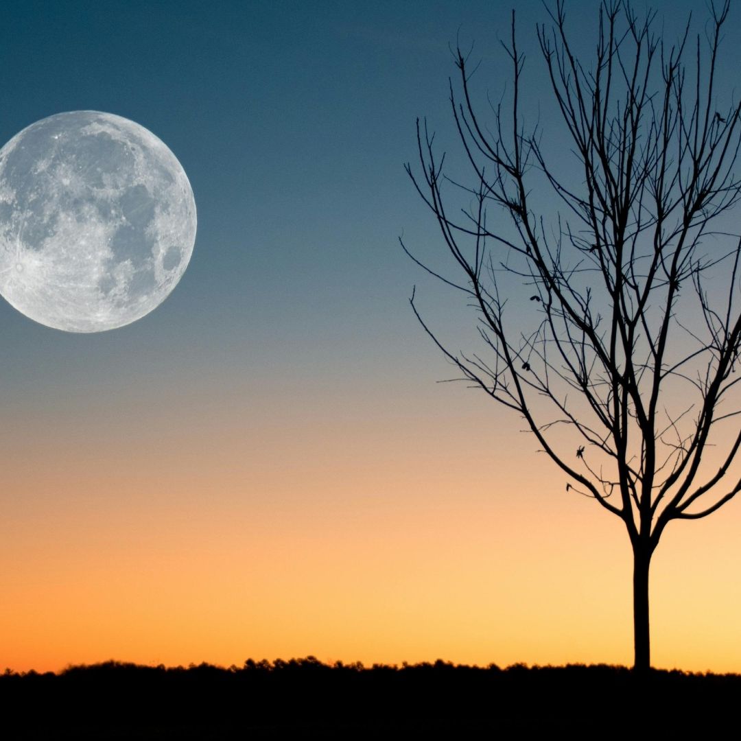 Calendario Lunar Marzo 2024: Luna Nueva y Lista de Fases por Día