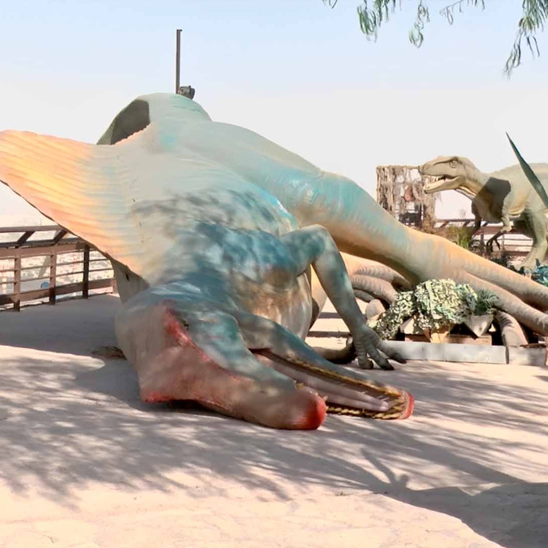 Caen Dinosaurios del Puerto Noas por Fuertes Vientos en Torreón
