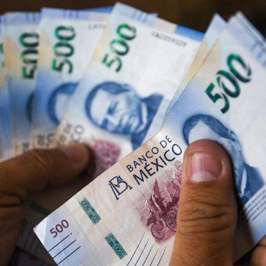 Jóvenes Sin Empleo Ni Estudios Podrían Recibir Nuevo Apoyo Económico de Más de 3 Mil 300 Pesos