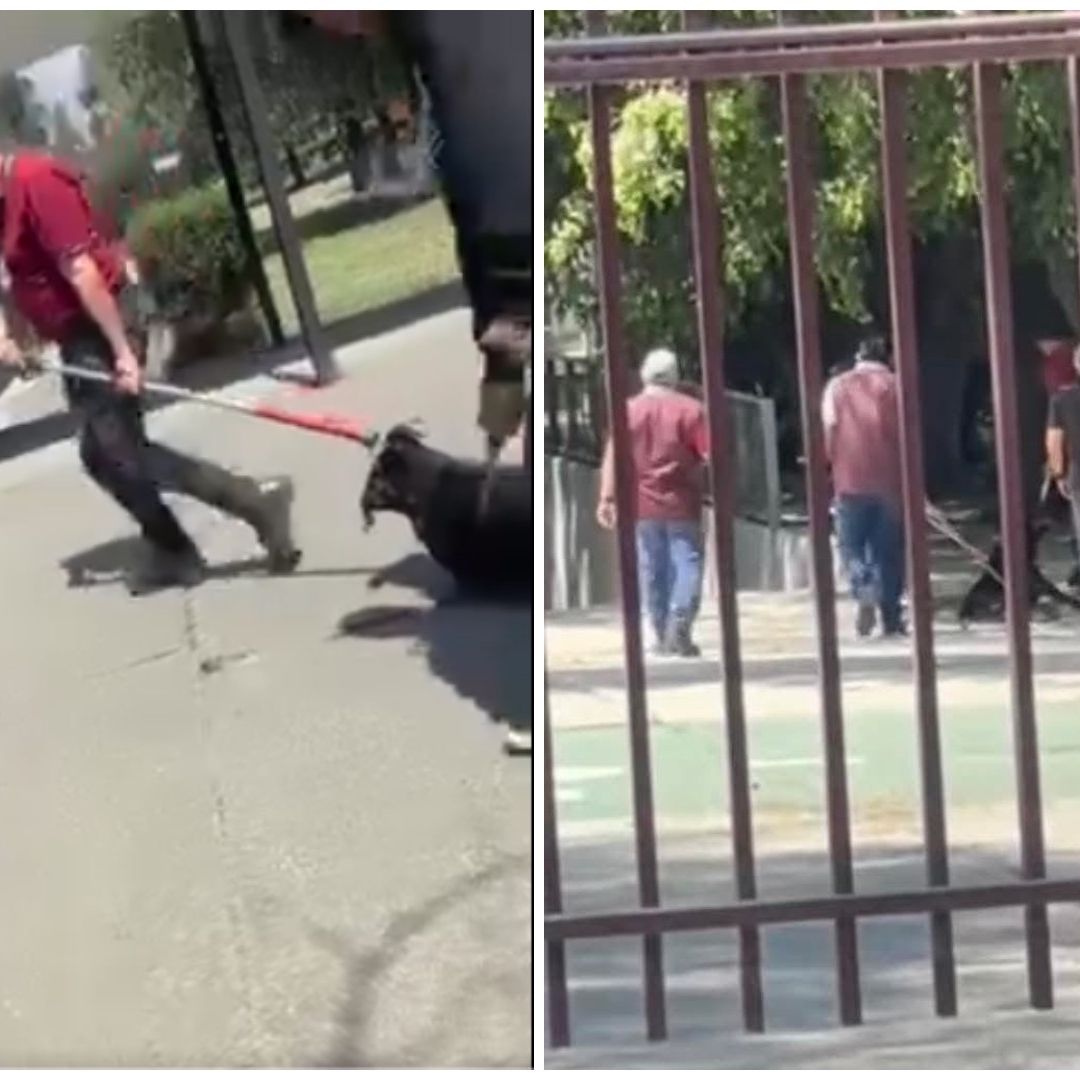 Denuncian maltrato animal en plantel del IPN.