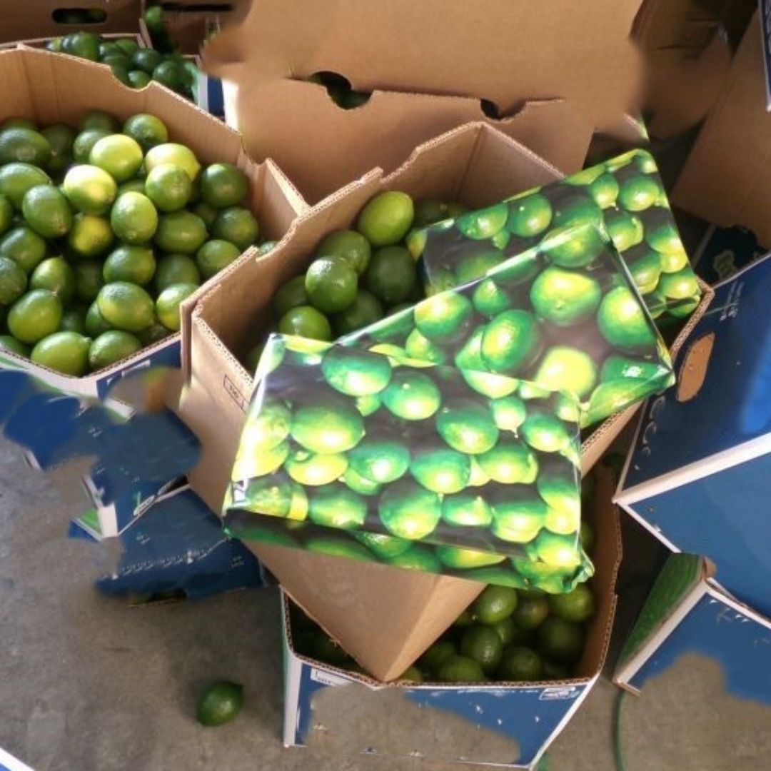 Descubren Millonario Cargamento de Cocaína en Cajas de Limones en la Garita Comercial de Otay