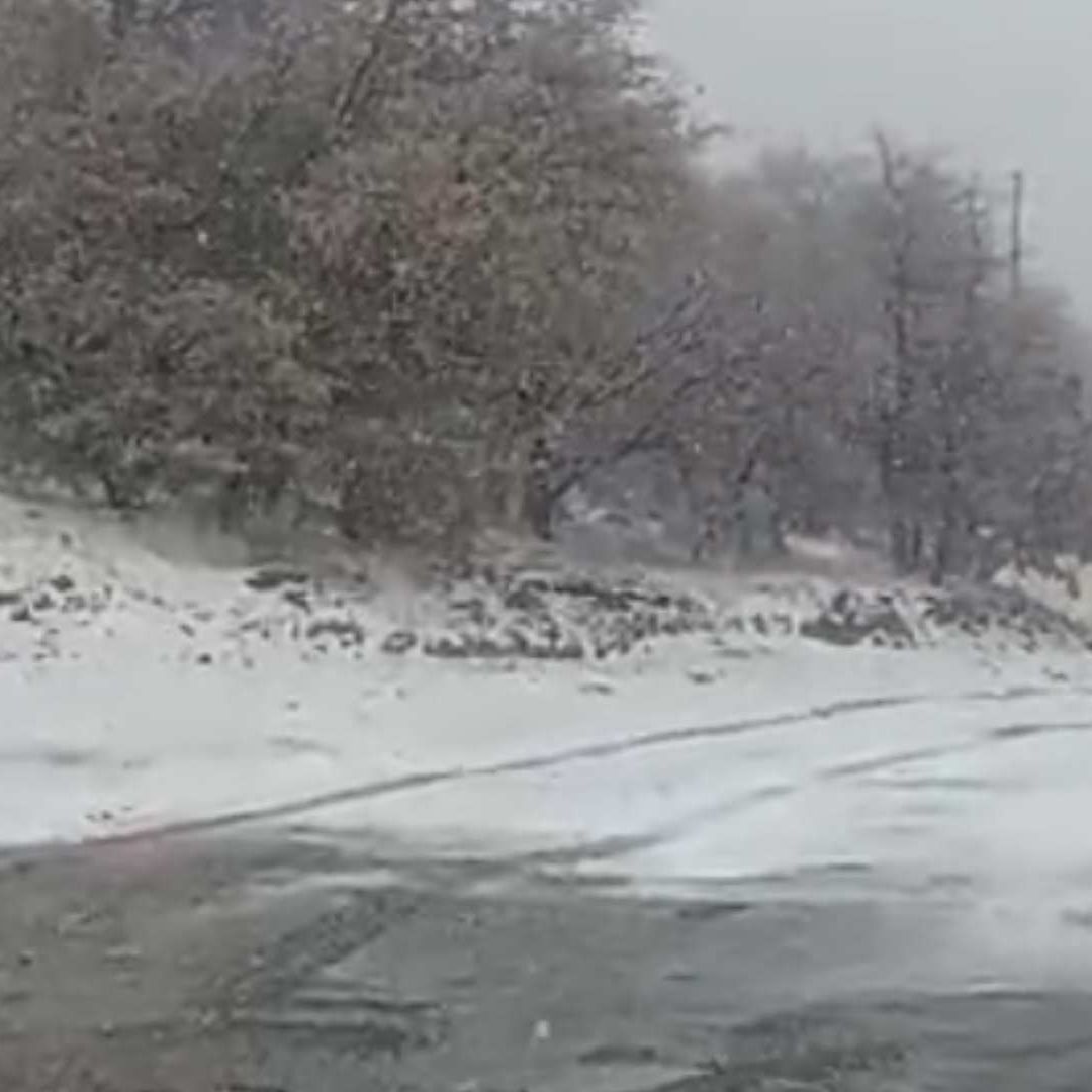 Hoy Viernes 7 de Marzo Reportan Caída de Nieve en Carretera Ímuris-Cananea en Sonora