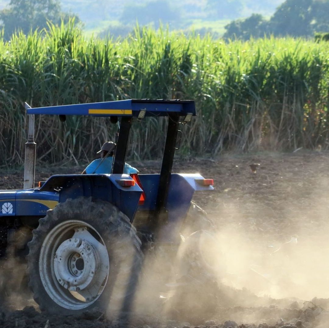 Padres Jornaleros Llevan a su Bebé al Trabajo y Muere Arrollada por Tractor Mientras Dormía