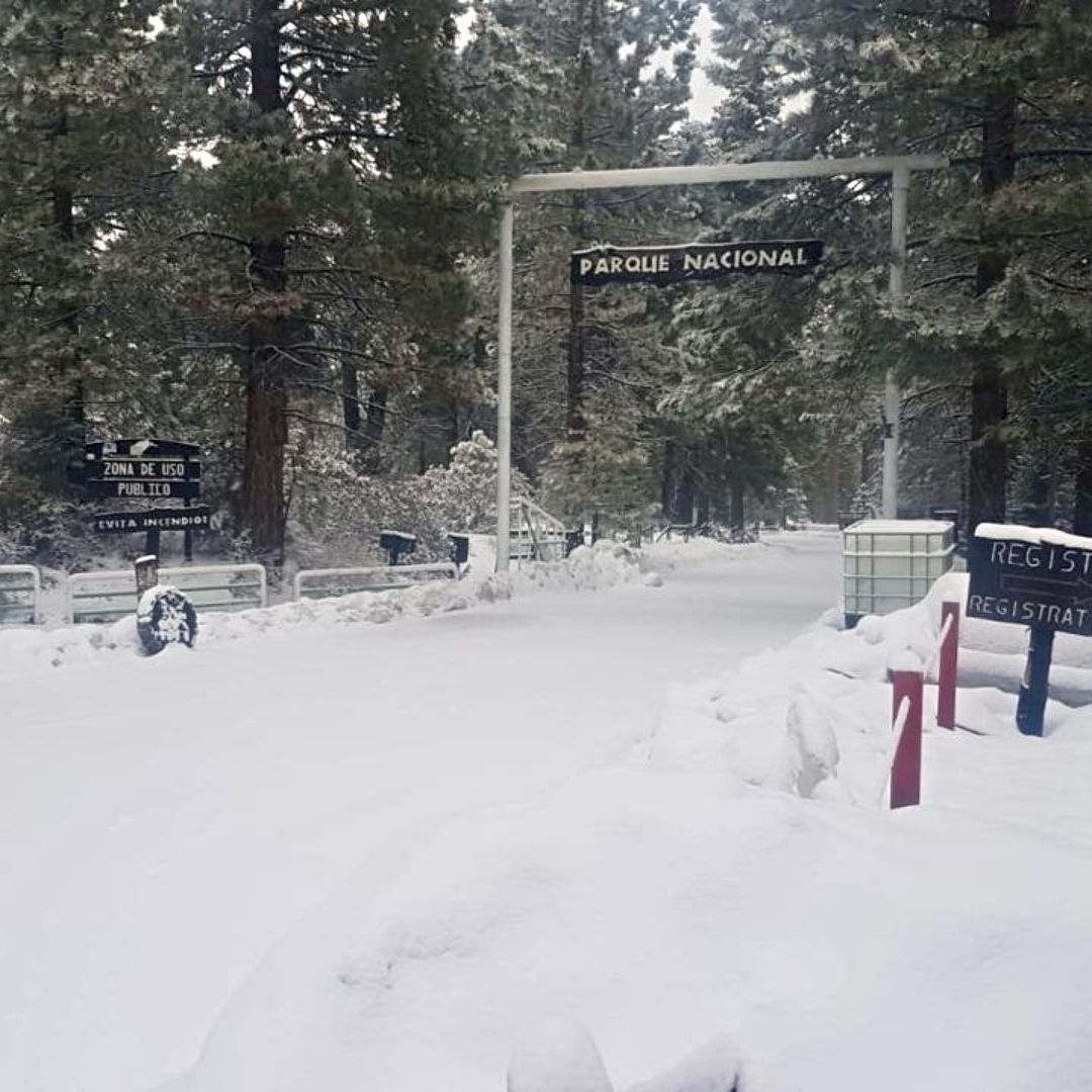 Cae Nevada en Sierra de San Pedro Mártir en Baja California