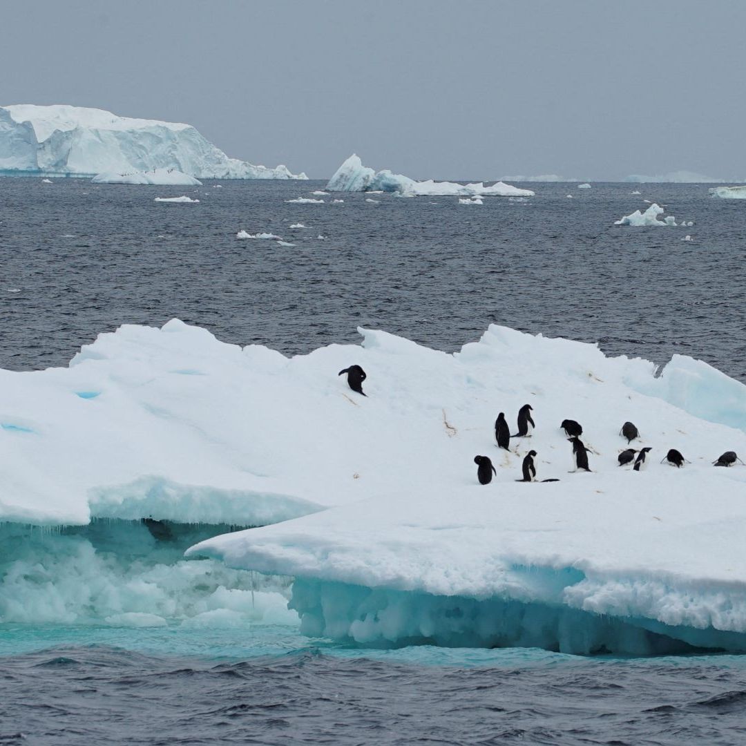 Calentamiento Global Podría Derretir Enorme Plataforma de Hielo en la Antártida