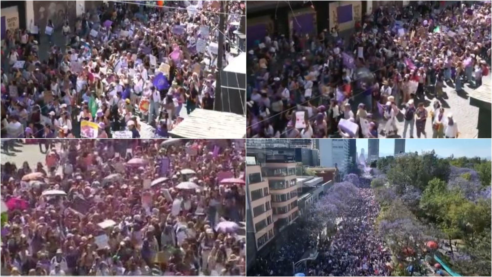 Marcha 8M en CDMX: Así se Ve Desde el Aire la Manifestación de Mujeres ...