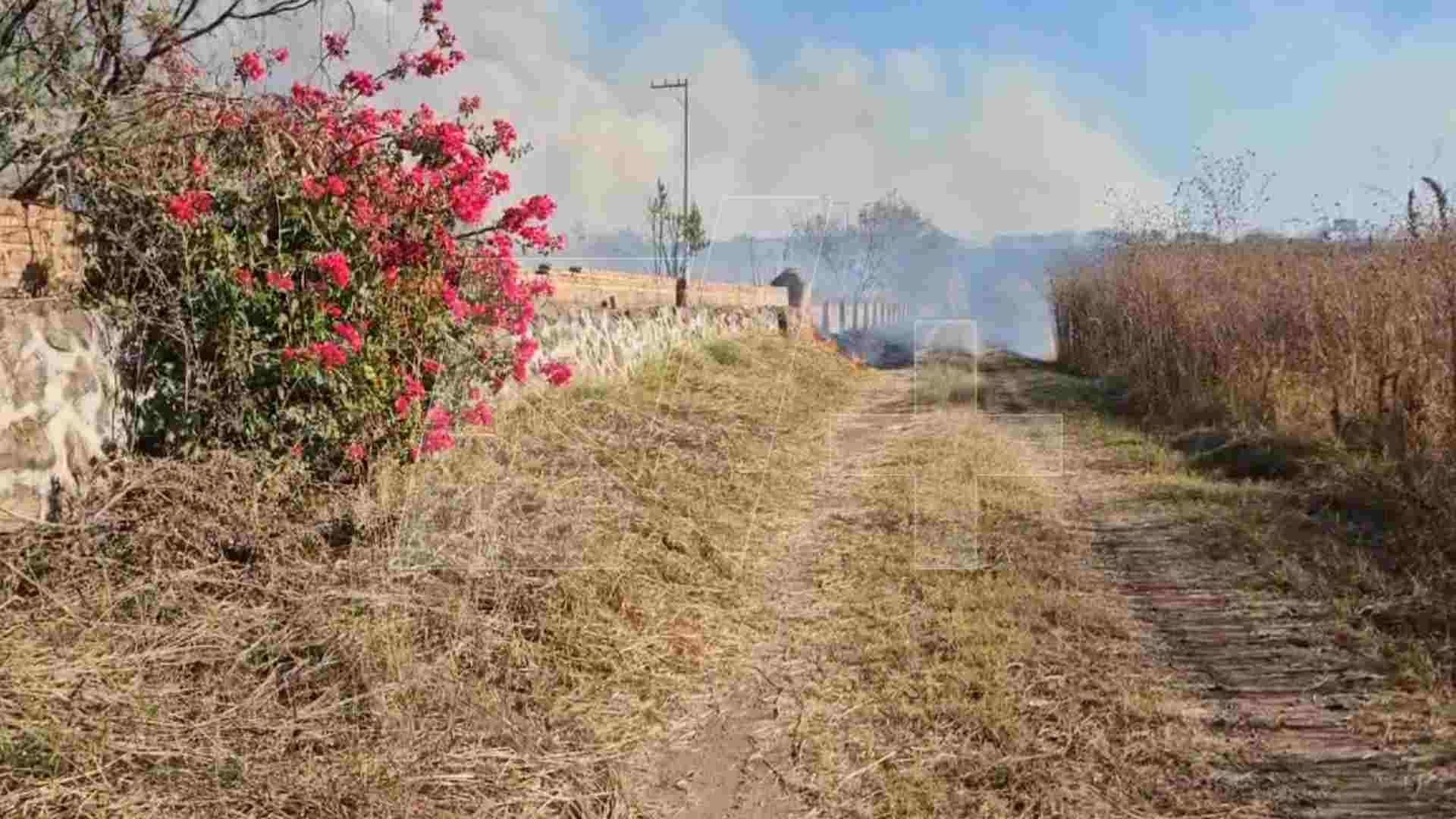 Incendio en La Primavera