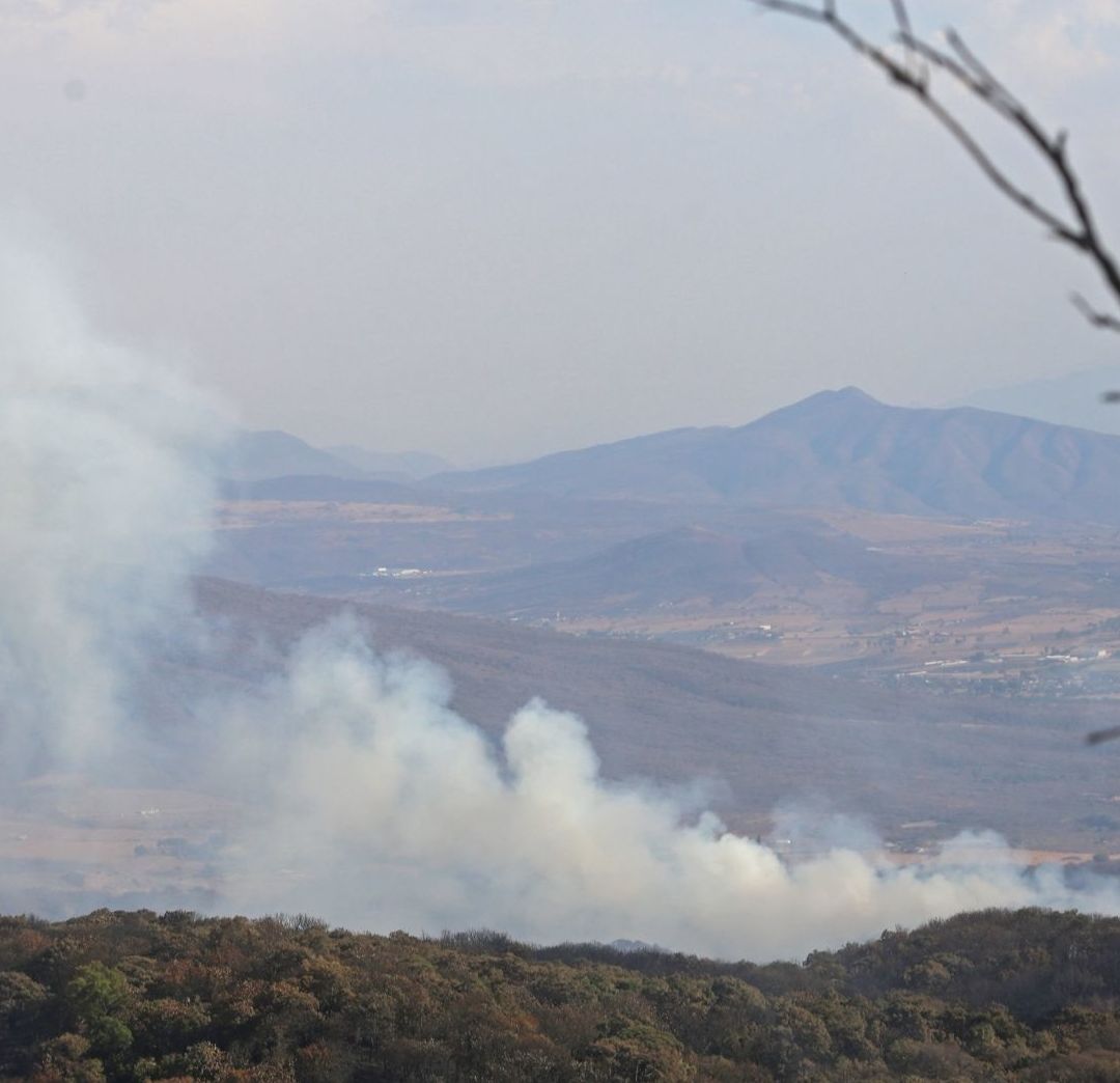 24 horas Después, Extinguen Incendio en el Bosque La Primavera, Jalisco