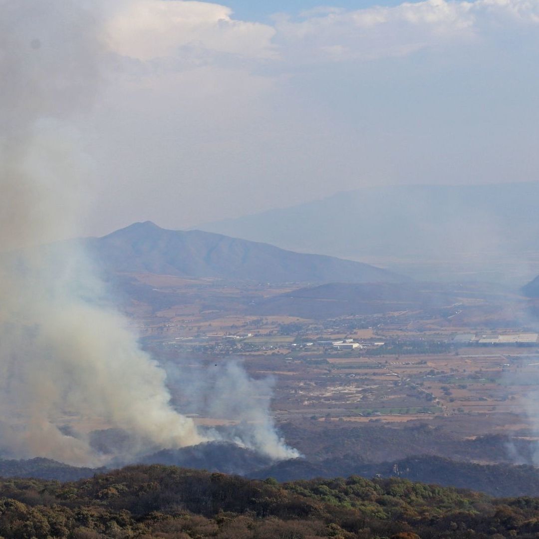 Incendio en Bosque de la Primavera, en Jalisco