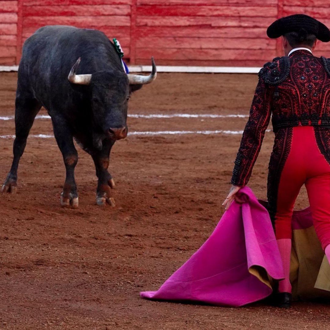 Corrida de toros en la Ciudad de México. Foto: Cuartoscuro