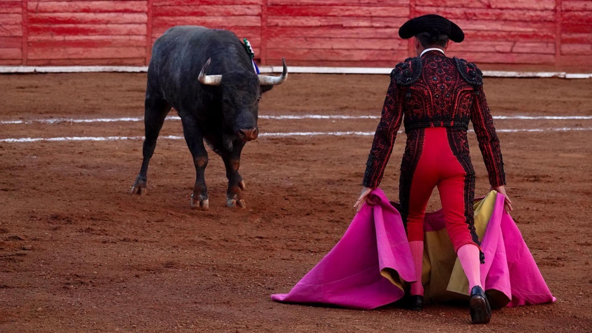 Corrida de toros en la Ciudad de México. Foto: Cuartoscuro