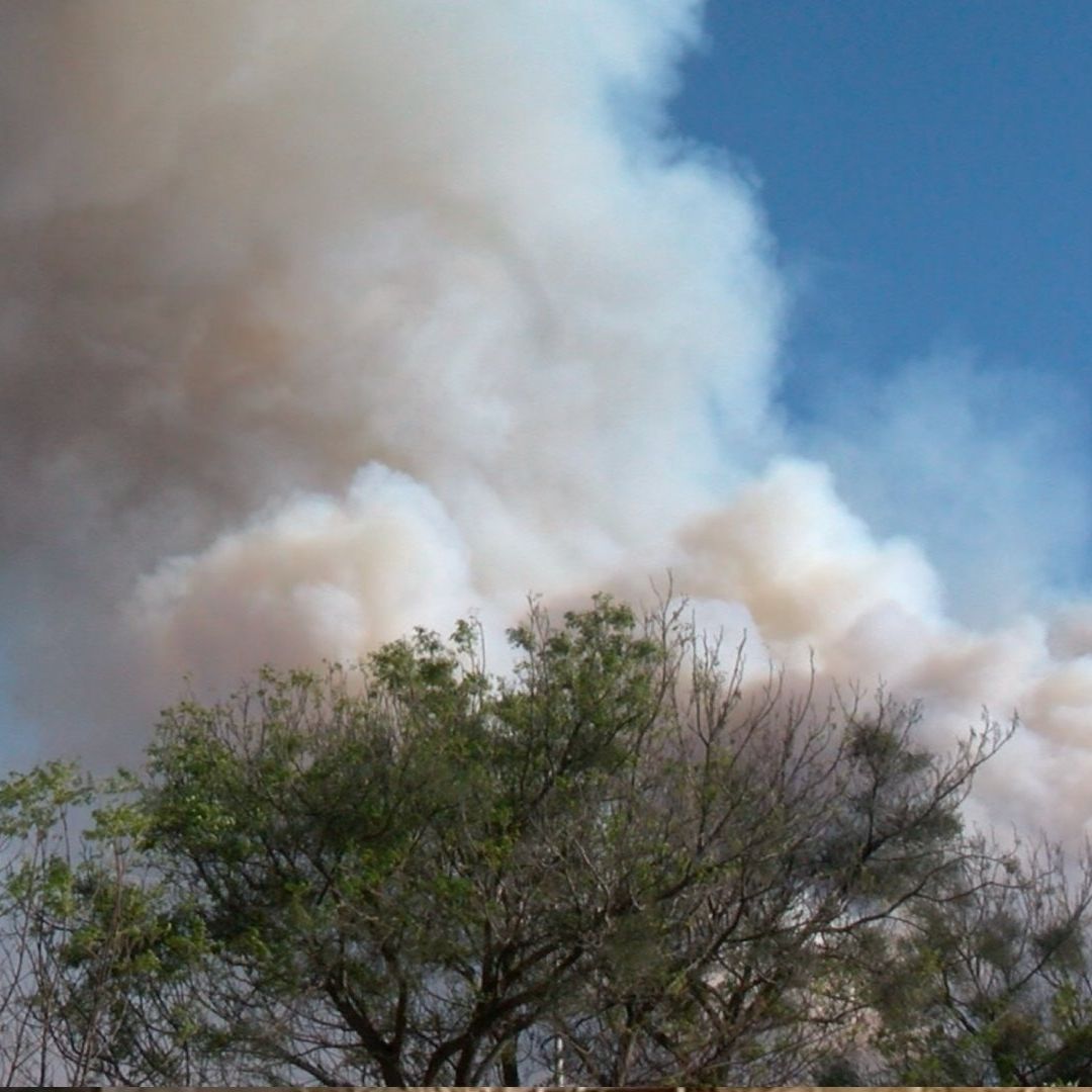 Incendio Bosque La Primavera provoca alerta atmosférica.