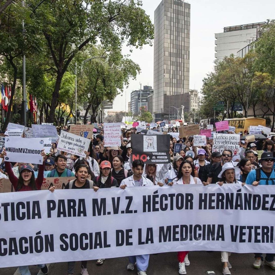 El gremio de los médicos veterinarios ha protestado a lo largo del país para denunciar acoso, extorsiones, amenazas de muerte y agresiones físicas. Foto: Cuartoscuro | Archivo