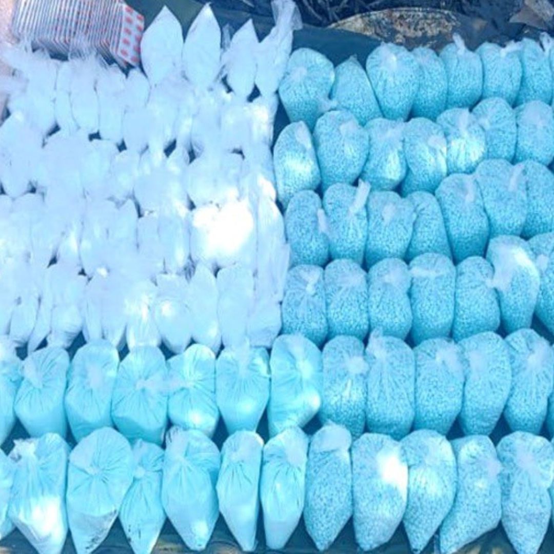 pastillas de fentanilo decomisadas en Navolato, Sinaloa
