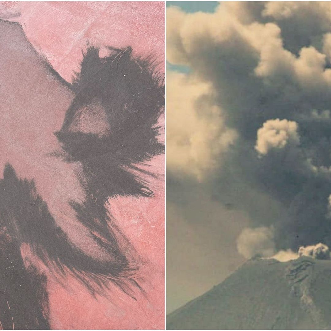 Cae ceniza en Puebla hoy: Así se ve en imágenes tras actividad del Volcán Popocatépetl